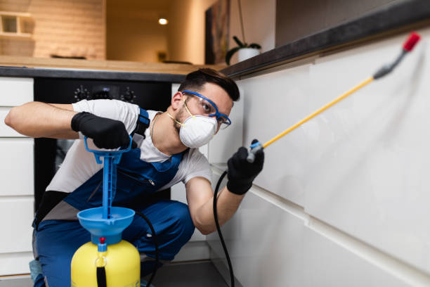 Best Pest Control for Restaurants  in Mount Vernon, AL