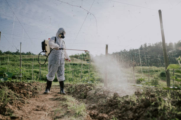 Best Ant Control Services  in Mount Vernon, AL