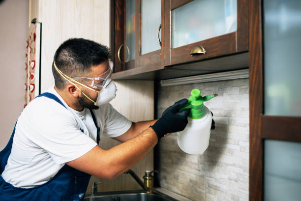 Best Rat Extermination Near Me  in Mount Vernon, AL