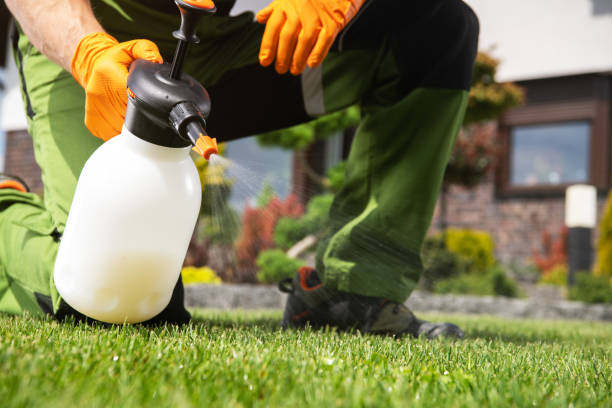Best Pest Control Near Me  in Mount Vernon, AL