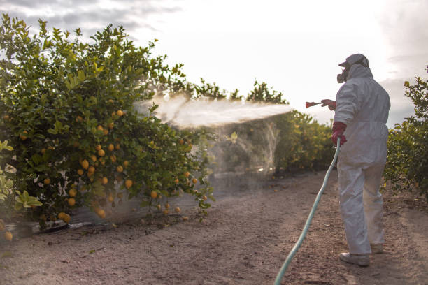 Best Commercial Pest Control Services  in Mount Vernon, AL