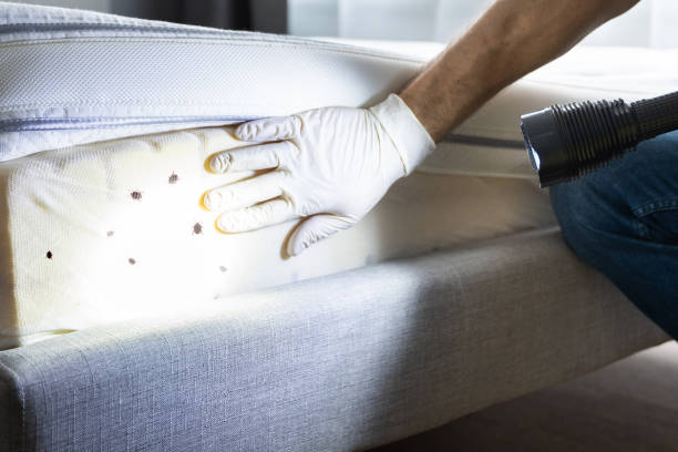 Pest Control for Restaurants in Mount Vernon, AL