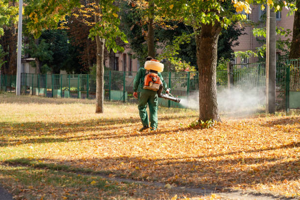 Best Pest Prevention Services  in Mount Vernon, AL