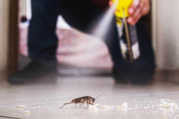 Best Pest Control for Restaurants  in Mount Vernon, AL