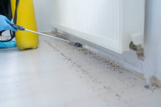 Best Residential Pest Control  in Mount Vernon, AL