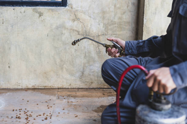 Best Local Pest Control Services  in Mount Vernon, AL